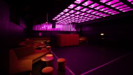 americanexpress-platinum-benefits-nightlife-singer-stagestatic
