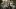 american-express-selects-gault-millau-dining-moments-da-enzo-1